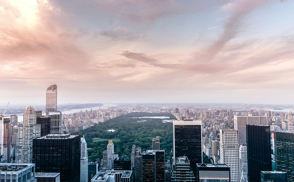 Web Designer in New York about image_panoramic view of central park from midtown Manhattan