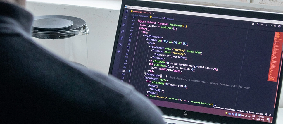 WordPress Speed Optimization image_over the shoulder view of a person debugging code on their laptop